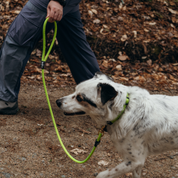Trailmate Recycled Climbing Rope 6ft Dog Leash